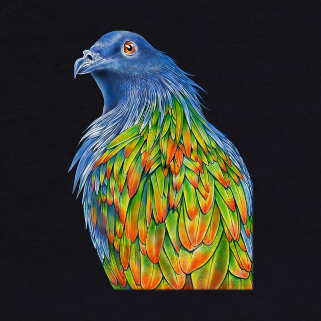 Nicobar Pigeon by Tim Jeffs Art